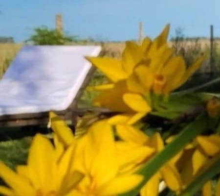 Willa La Narcisa Pehuajo Zewnętrze zdjęcie