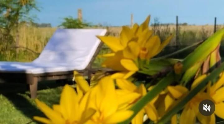 Willa La Narcisa Pehuajo Zewnętrze zdjęcie